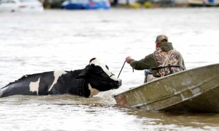 B.C.’s farm recovery deserves to be the top agricultural story