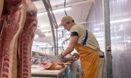Meat sector kicks back at worker law changes