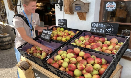 Swiss agritourism: A cow massage and a roll in the hay