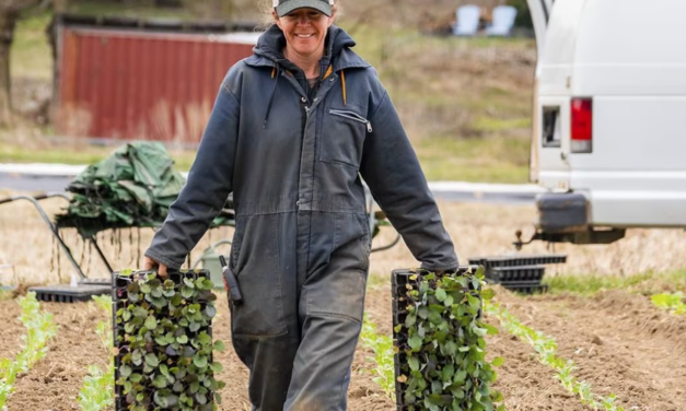 Women farmer dealing more with stress