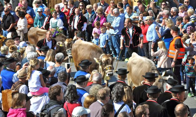 Swiss food security vote: because you canâ€™t live on chocolate alone