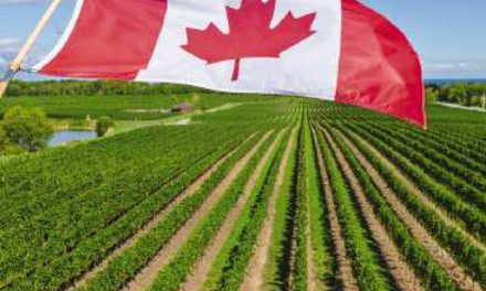 When food and farming gives you that “Oh Canada” feeling