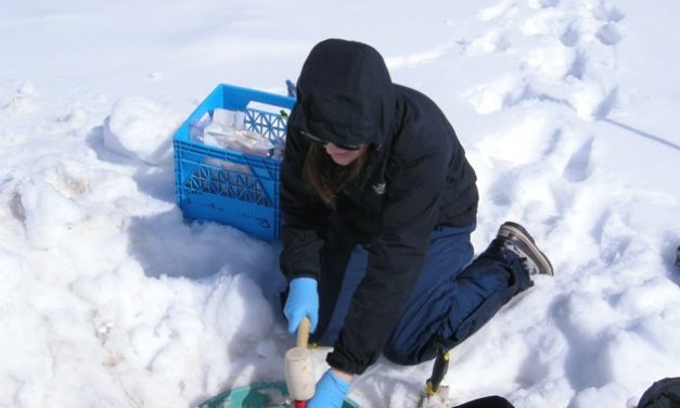 Canadaâ€™s turn for leading-edge microbiome research